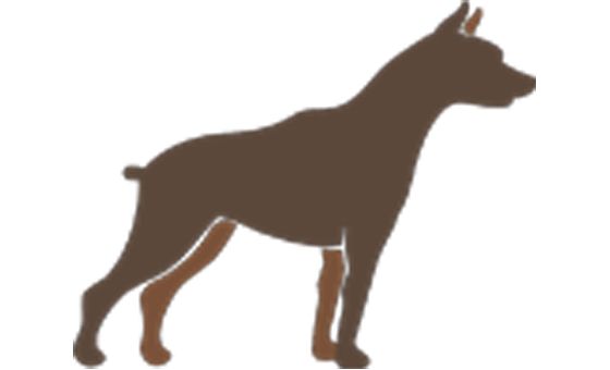 Teamchasedog.com