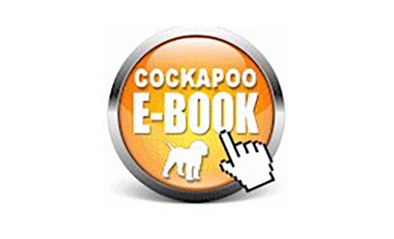 Cockapoocrazy.com Cockapoocrazy.com