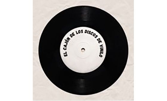 El cajón de los discos de vinilo