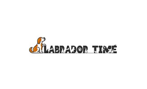 Labrador Time