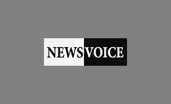 NewsVoice