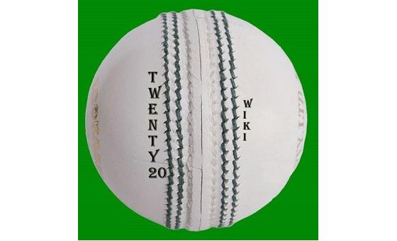 Twenty20wiki.com