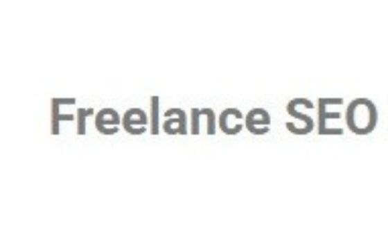 Freelance Seo Consultant
