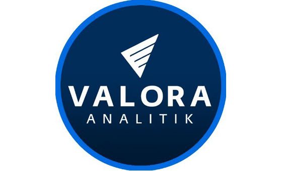 Valora Analitik