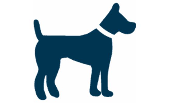 All Things Dogs