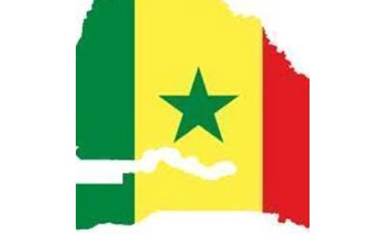 Laviesenegalaise.com