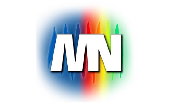 Mannheimer-Nachrichten.de