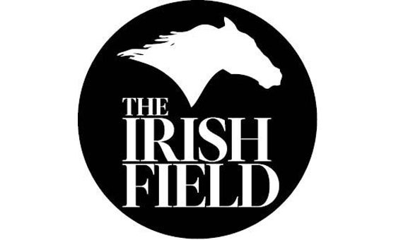 Theirishfield.ie