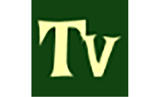 TV Box Bee
