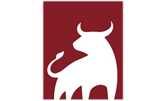Portaleltoro.com
