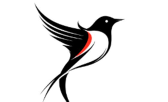 Birdnet News