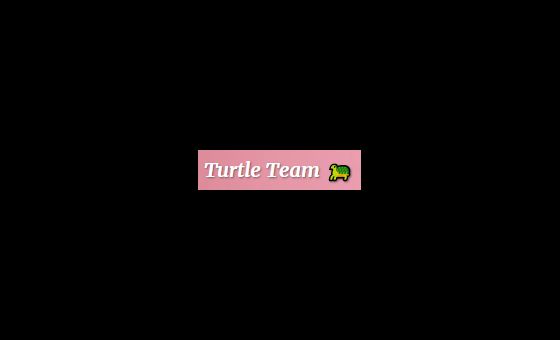 Turtle Team