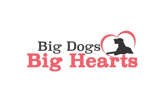 Bigdogsbighearts.com