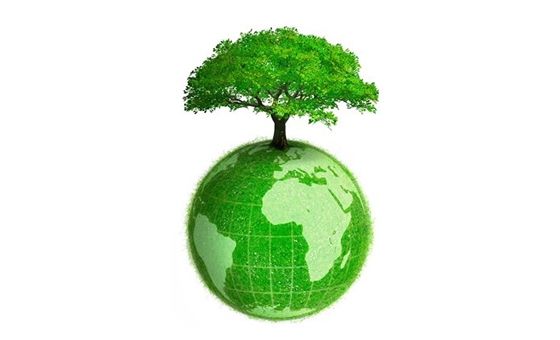 Toutvert.fr Toutvert.fr