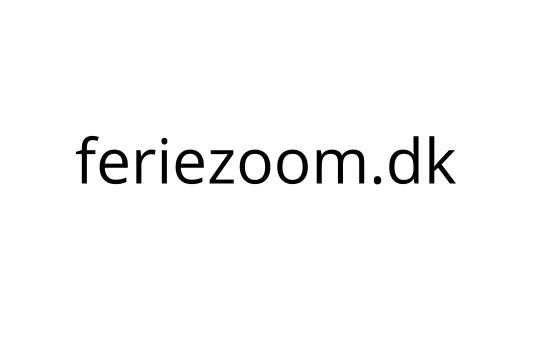 Ferie Zoom