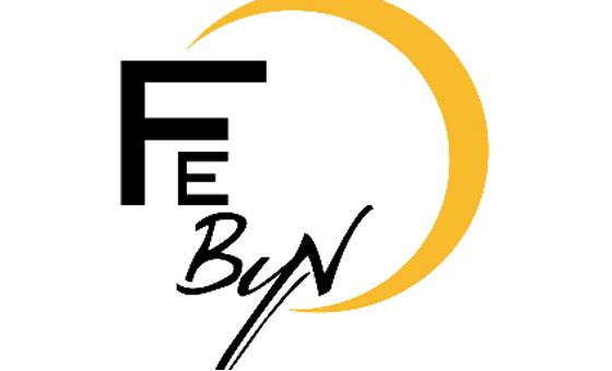 Ferrarabynight.com