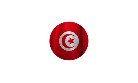 1001tunisie.com 1001tunisie.com