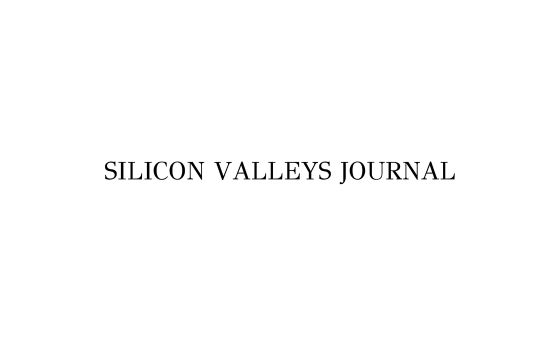 Silicon Valleys Journal