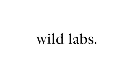 Wildlabsky.com