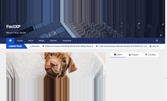 Factxp.com Factxp.com