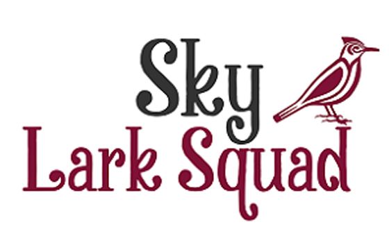 Skylarksquad.com