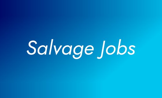 Salvagejobs.com