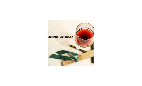 Deliciul-viciilor.ro