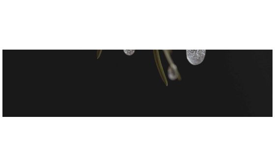 Networkermind.com Networkermind.com