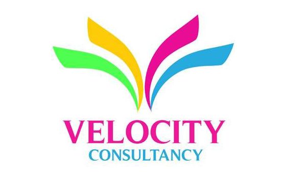 Velocityconsultancy.com