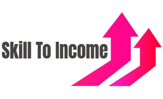 Skilltoincome.com