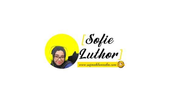 Sofinahlamudin.com