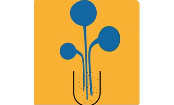 Tecnología Hortícola