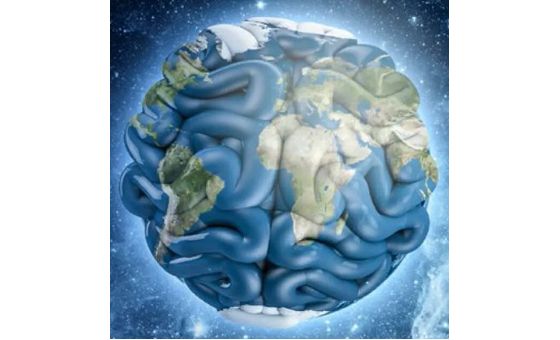 Brainworldmagazine.com