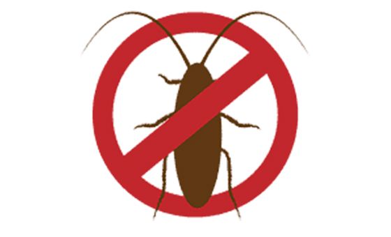 Pest Control Hacks