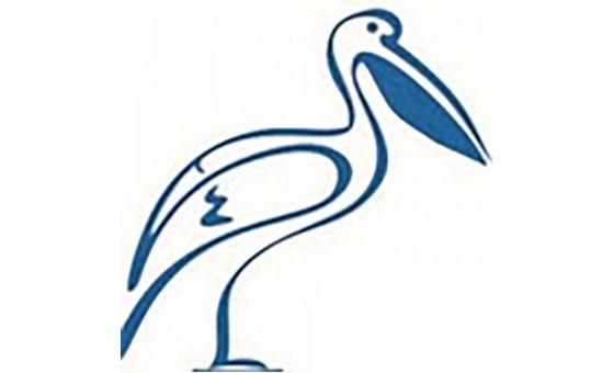 New Pelican