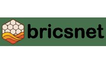Bricsnet.nl