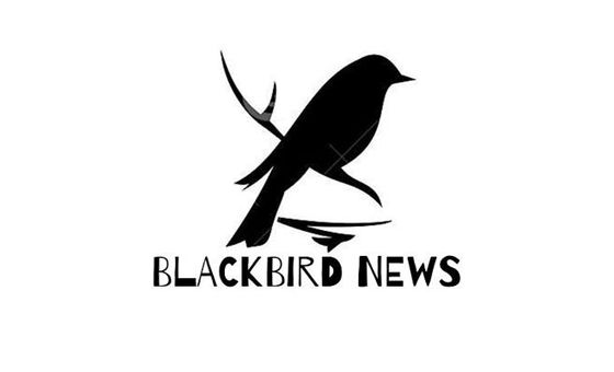 Blackbirdnews.com