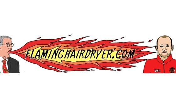 Flaminghairdryer.com