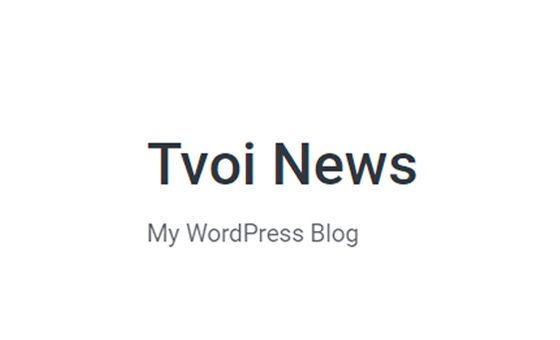 Tvoinews.net