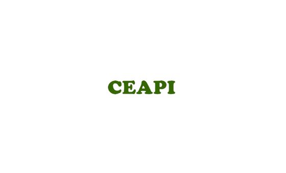 Ceapi.com.br