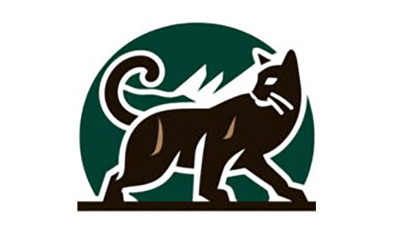 Big Cat Facts
