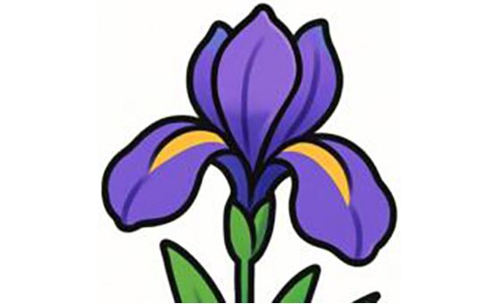 Iris Log