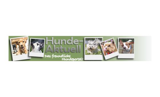 Hunde Aktuell