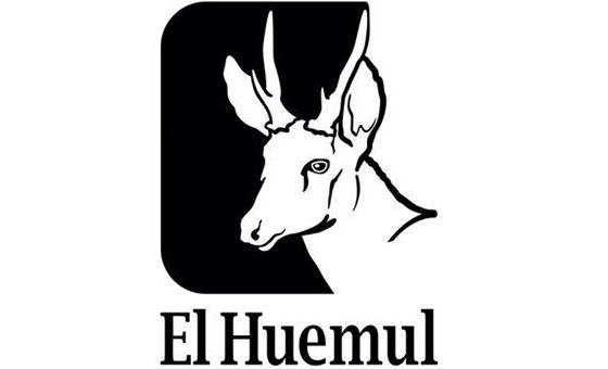 Elhuemul.cl