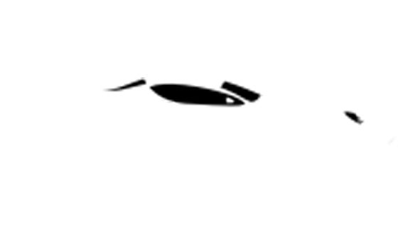 Professionalautomechanic.com