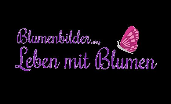 Blumenbilder.org