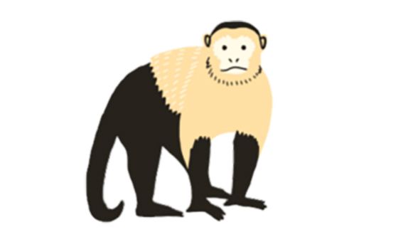 Monkey English
