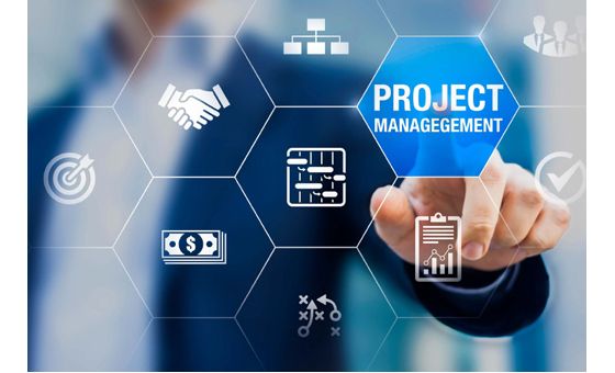 Dieprojektmanager.com