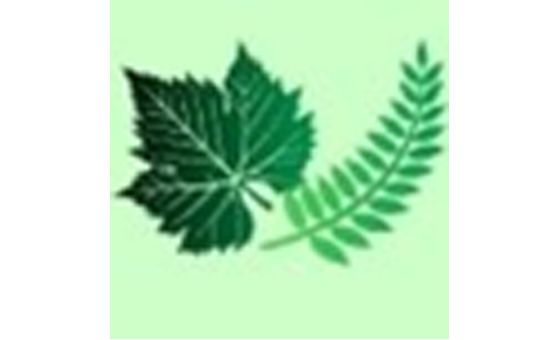 Alternativ-gesund-leben.de