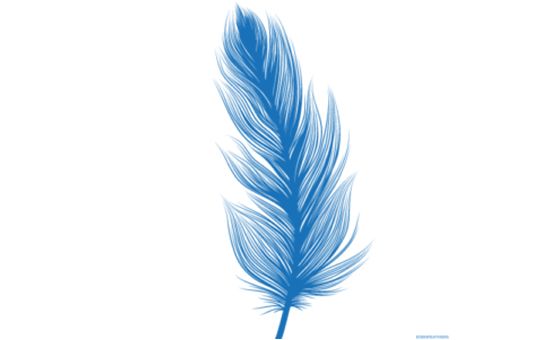 Eden Feathers